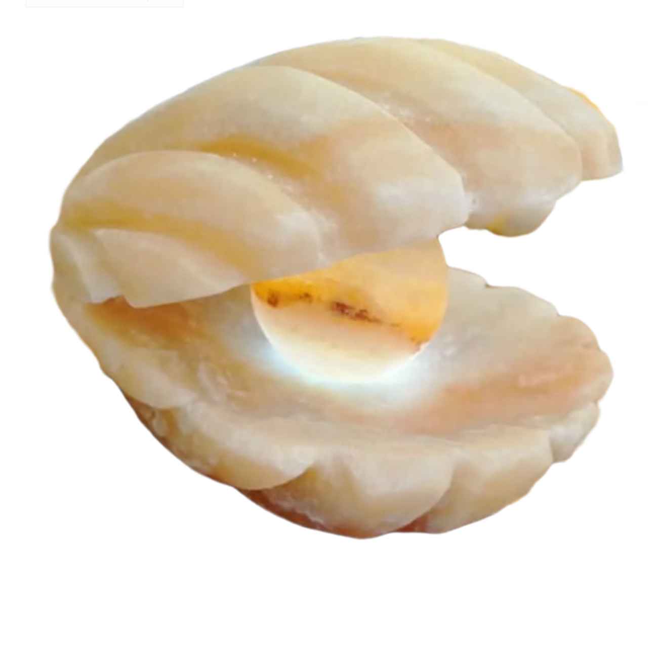 Price and Buy Persian Salt Rock Lamp for Natural Wellness – Perfect Gift for Stress Relief with Shel Design_69013ed76b61d.jpeg Price and Buy Persian Salt Rock Lamp for Natural Wellness – Perfect Gift for Stress Relief with Shel Design - Image 1