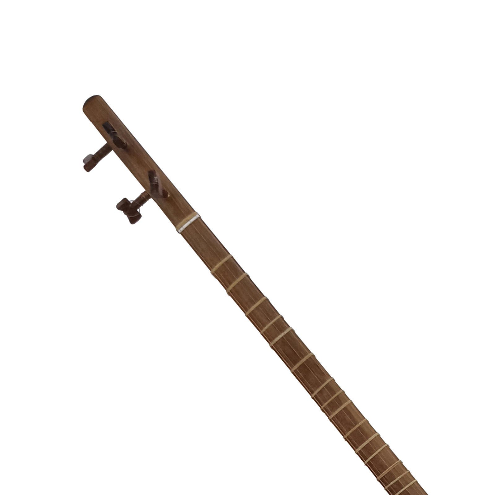 Price and Buy Persian Setar by Abkari, Model 003 (Intermediate Level) - Image 4