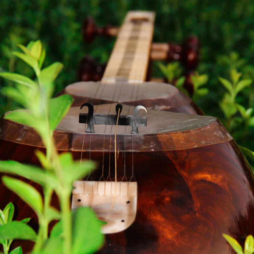 Price and Buy Persian Tar String Instrument – Handcrafted by Iran-Saz, Model 1 Stamp - Image 10