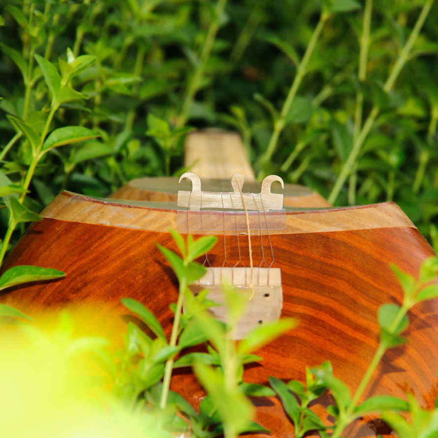 Price and Buy Persian Tar String Instrument – Handcrafted by Iran-Saz, Model 2 Stamp - Image 7