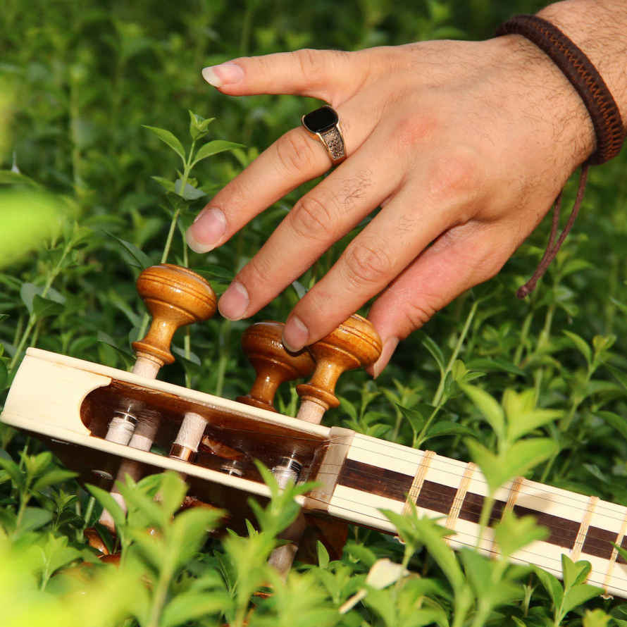 Price and Buy Persian Tar String Instrument – Handcrafted by Iran-Saz, Model 2 Stamp - Image 14