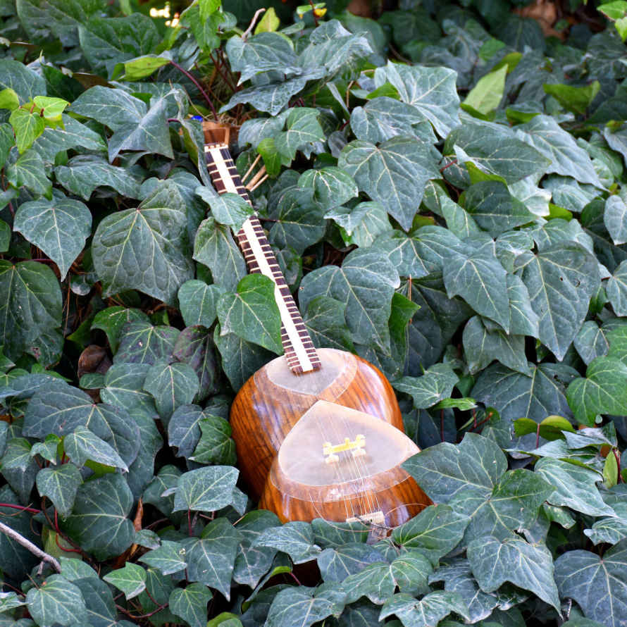 Price and Buy Persian Tar String Instrument – Handcrafted by Iran-Saz, Model Shahkar - Image 4