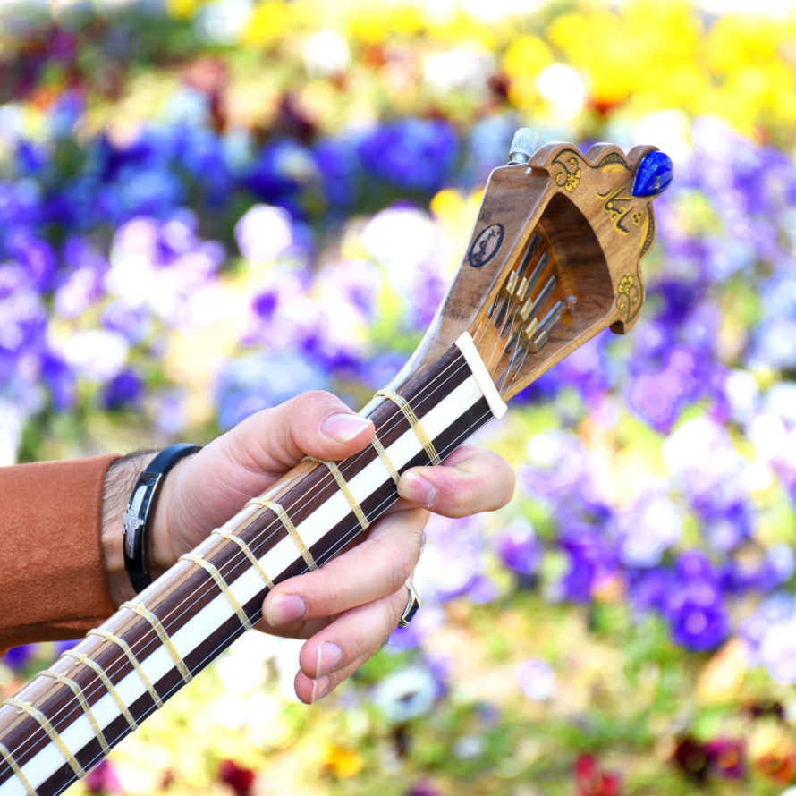 Price and Buy Persian Tar String Instrument – Handcrafted by Iran-Saz, Model Shahkar - Image 13