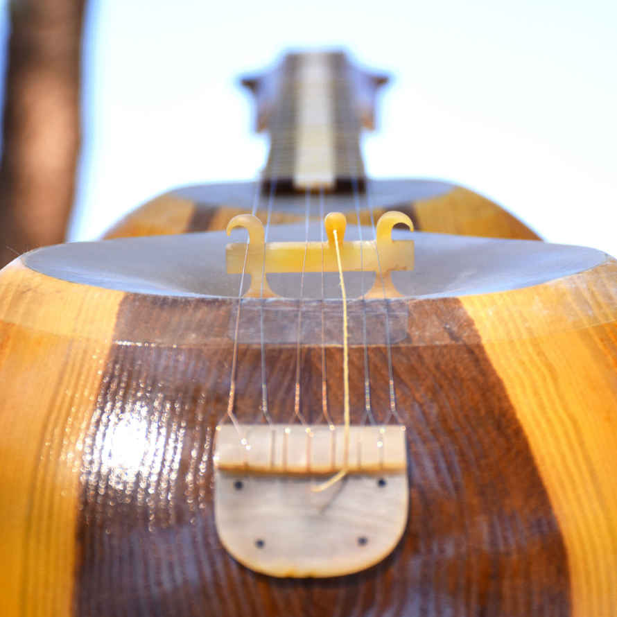 Price and Buy Persian Tar String Instrument – Handcrafted by Iran-Saz, Model Vida - Image 5