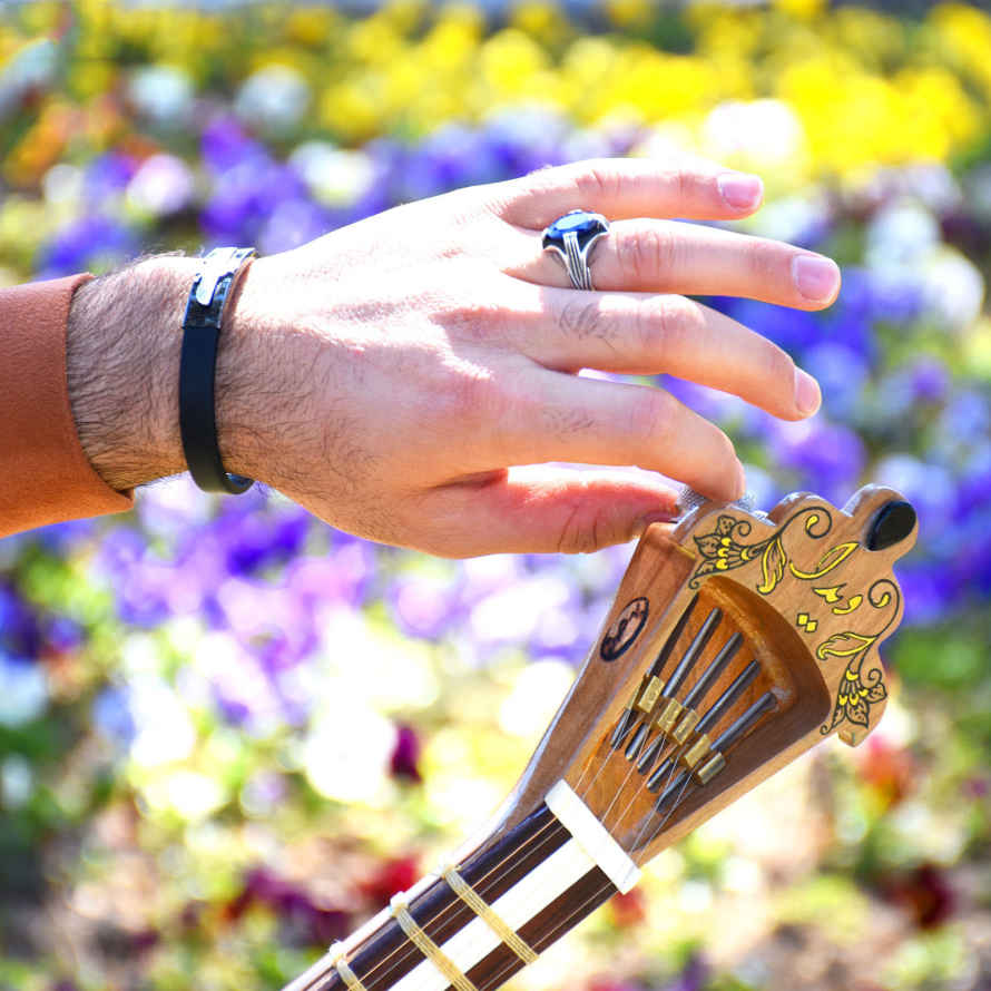 Price and Buy Persian Tar String Instrument – Handcrafted by Iran-Saz, Model Vida - Image 6