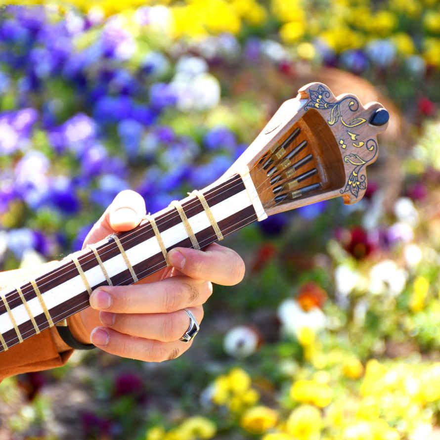 Price and Buy Persian Tar String Instrument – Handcrafted by Iran-Saz, Model Vida - Image 7