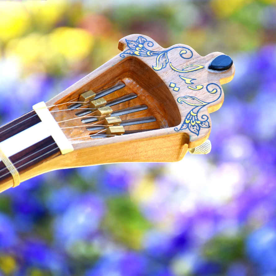 Price and Buy Persian Tar String Instrument – Handcrafted by Iran-Saz, Model Vida - Image 12