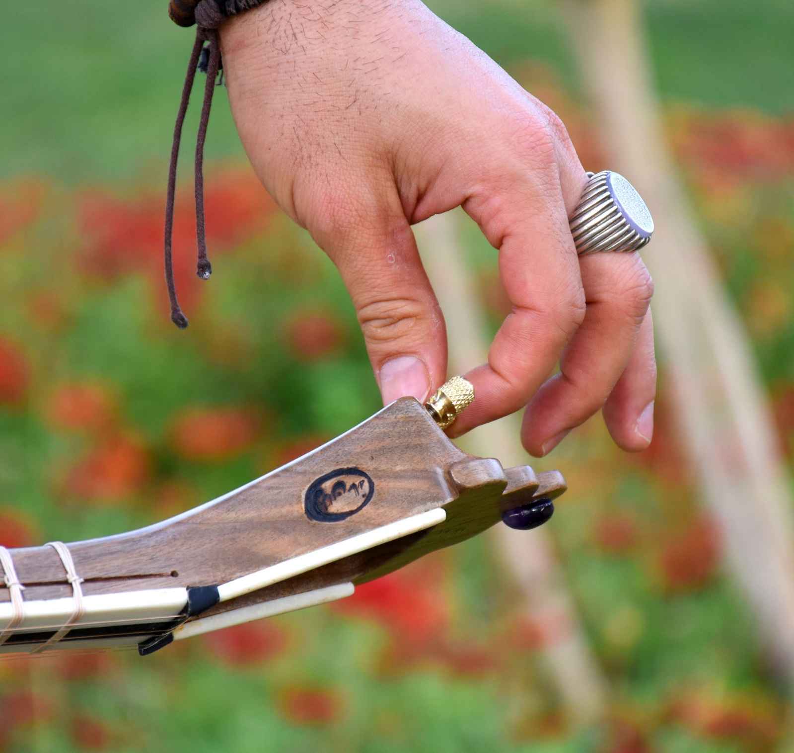 Price and Buy Persian Tar String Instrument – Handcrafted by IranSaz, Model Argavan - Image 6