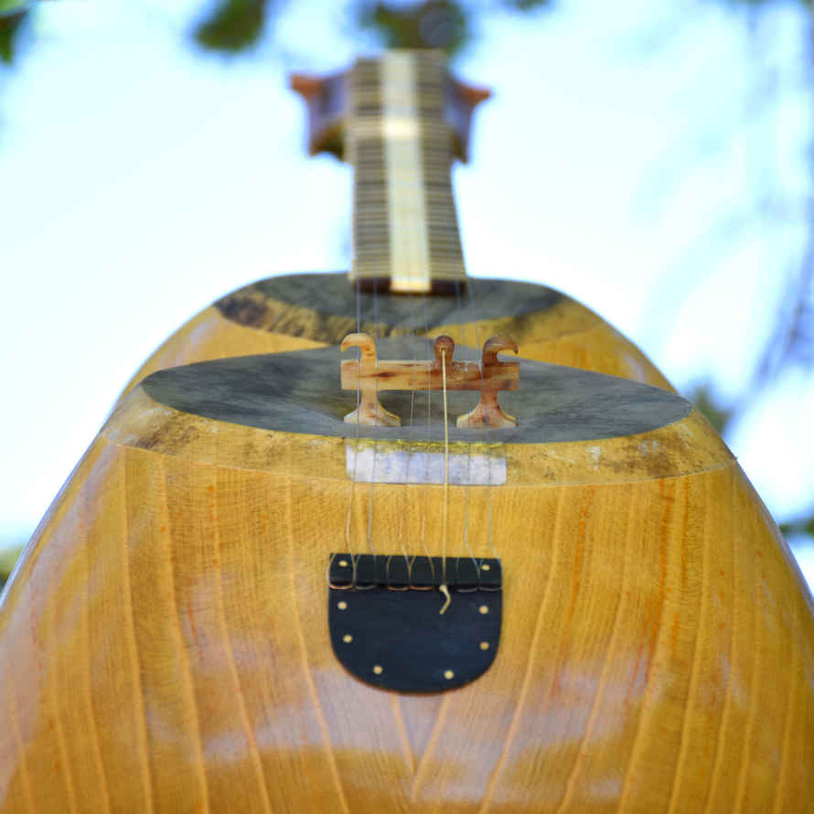 Price and Buy Persian Tar String Instrument – Handcrafted by IranSaz, Model Mehregan - Image 7