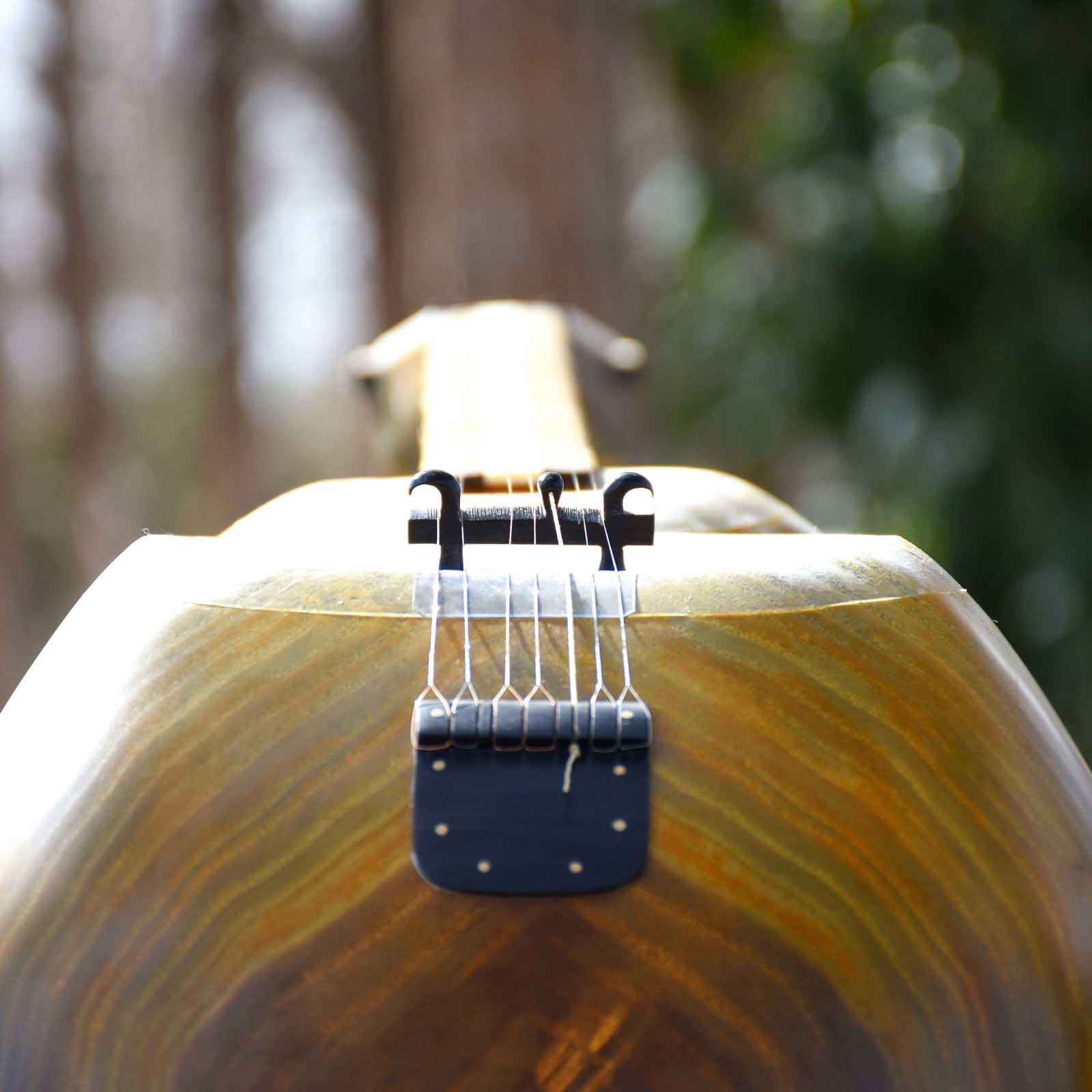 Price and Buy Persian Tar String Instrument – Handcrafted by IranSaz, Model Pasargad - Image 4