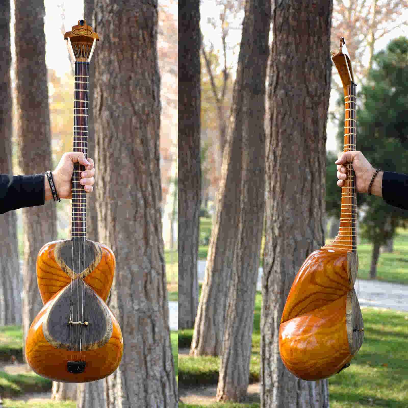 Price and Buy Persian Tar String Instrument – Handcrafted by IranSaz, Model Sepehr - Image 3