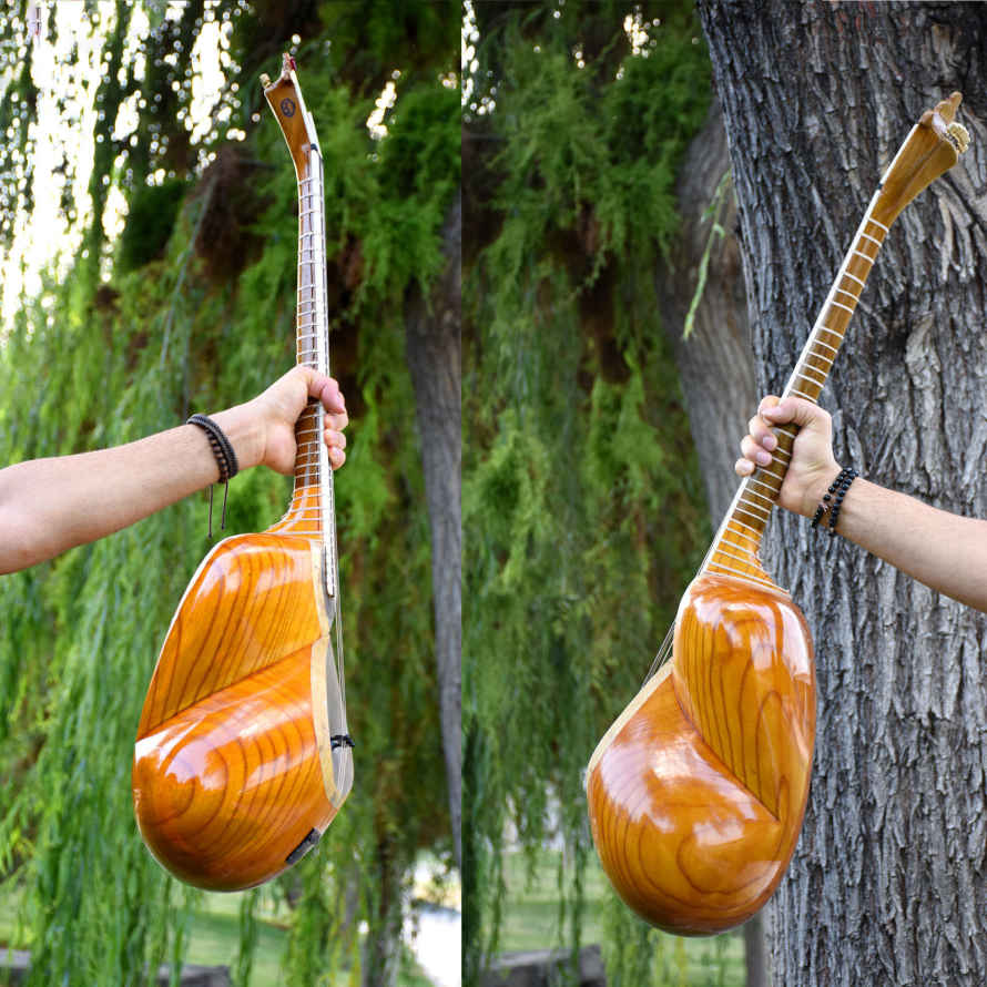 Price and Buy Persian Tar String Instrument – Handcrafted by Mahoor - Image 4
