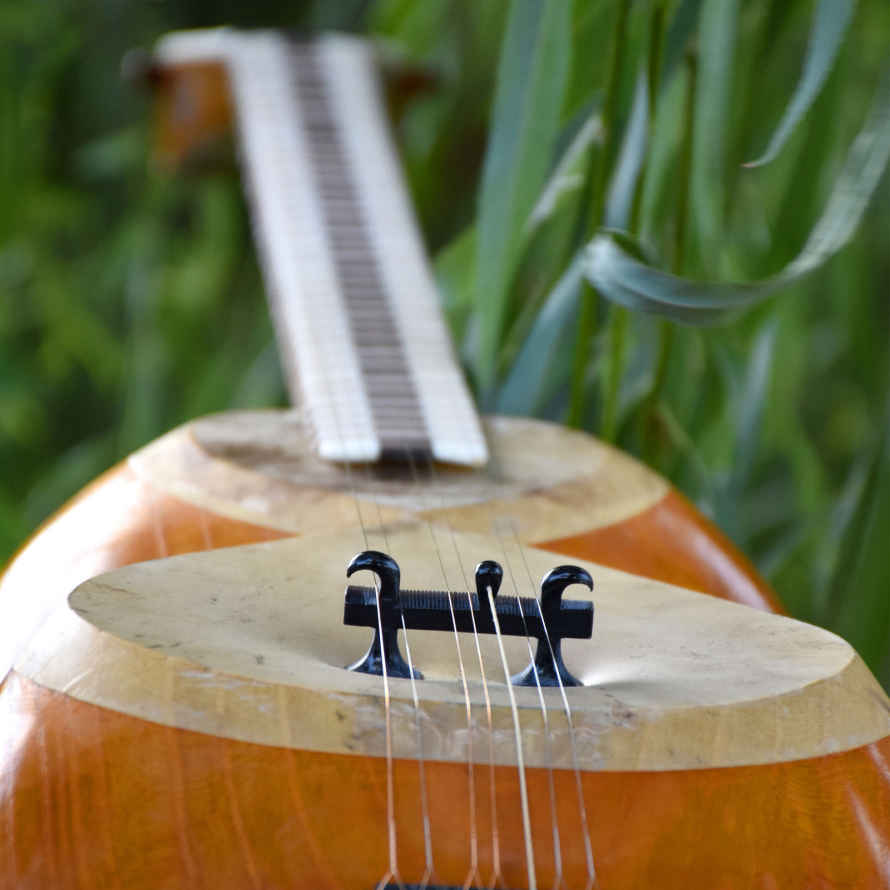 Price and Buy Persian Tar String Instrument – Handcrafted by Mahoor - Image 5