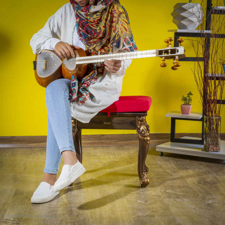 Price and Buy Persian Tar String Instrument – Handcrafted by Qeysari - Image 4