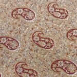Price and Buy Persian Termeh Fabric with Floral Paisley Design - Image 6