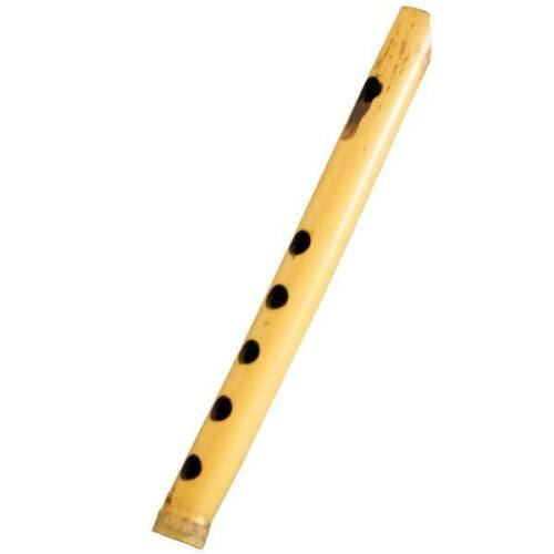 Price and Buy Persian Woodwind Ney Model AZ29_68f2f982b367a.jpeg Price and Buy Persian Woodwind Ney Model AZ29
