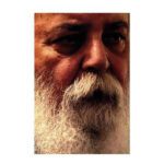 Price and Buy Pire Parnian Andish dar Sohbate Saye by Milad Azimi - Image 7