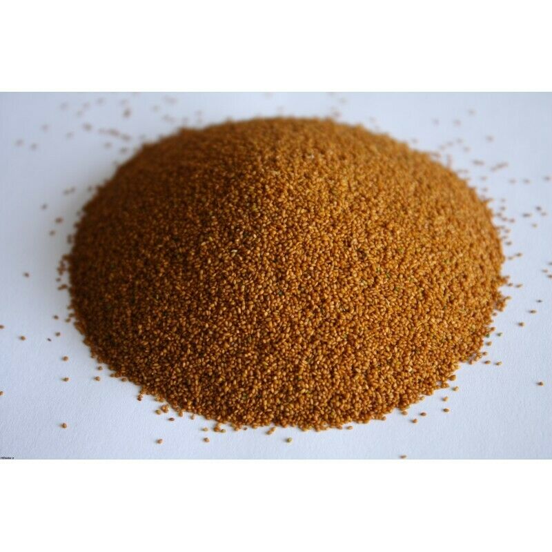 Price and Buy Premium Flixweed Seeds (Khakshir) – 150 gr ( 5x) - Image 6