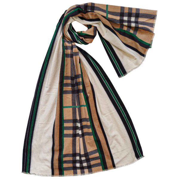 Price and Buy Printed Shawl for Women Artistic & Lightweight Tartan Design_68fea9234c6f3.jpeg Price and Buy Printed Shawl for Women Artistic & Lightweight Tartan Design