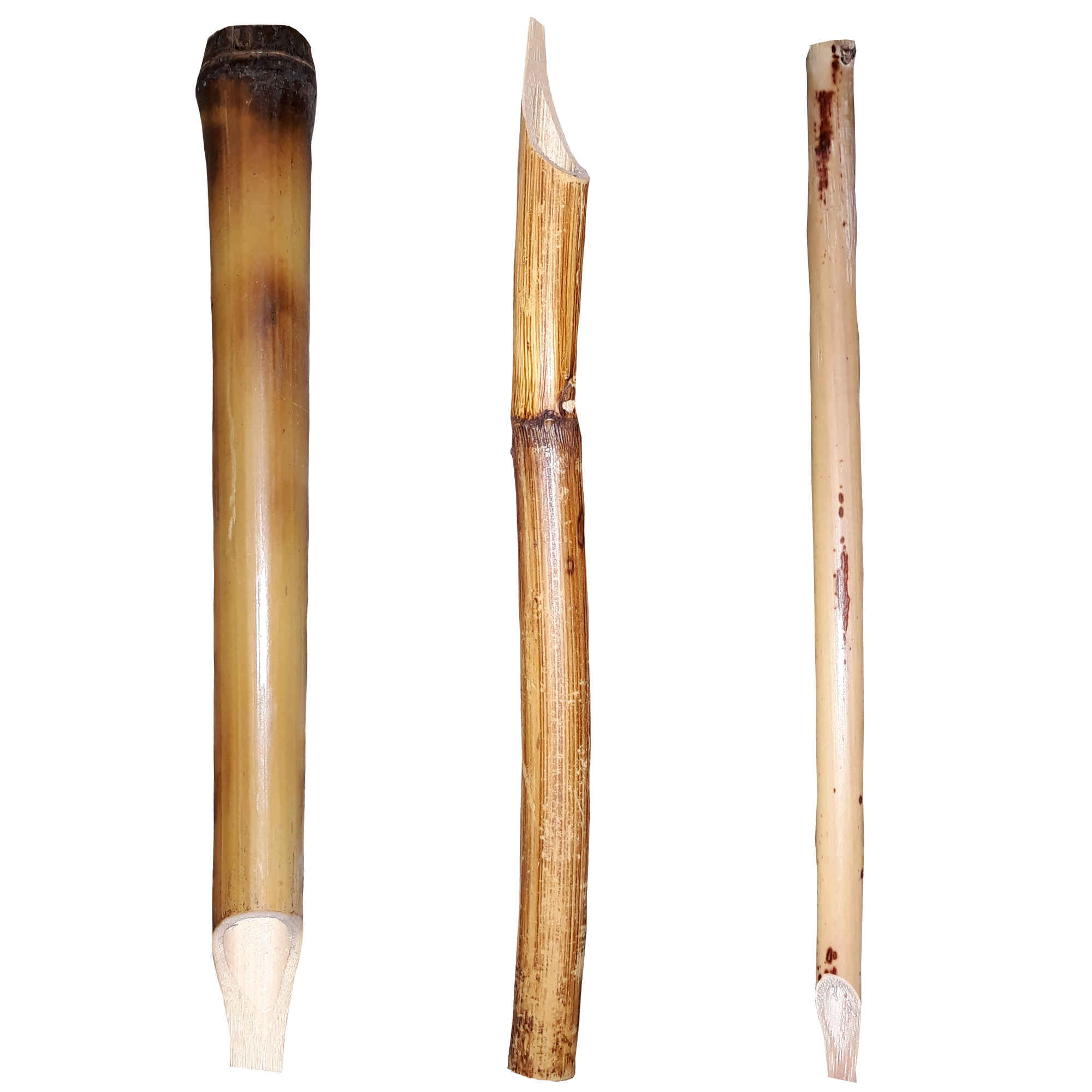 Price and Buy Qalam Reed Pen for Persian, Arabic and Islamic Calligraphy