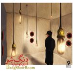 Price and Buy Room Music Album by Dang Show