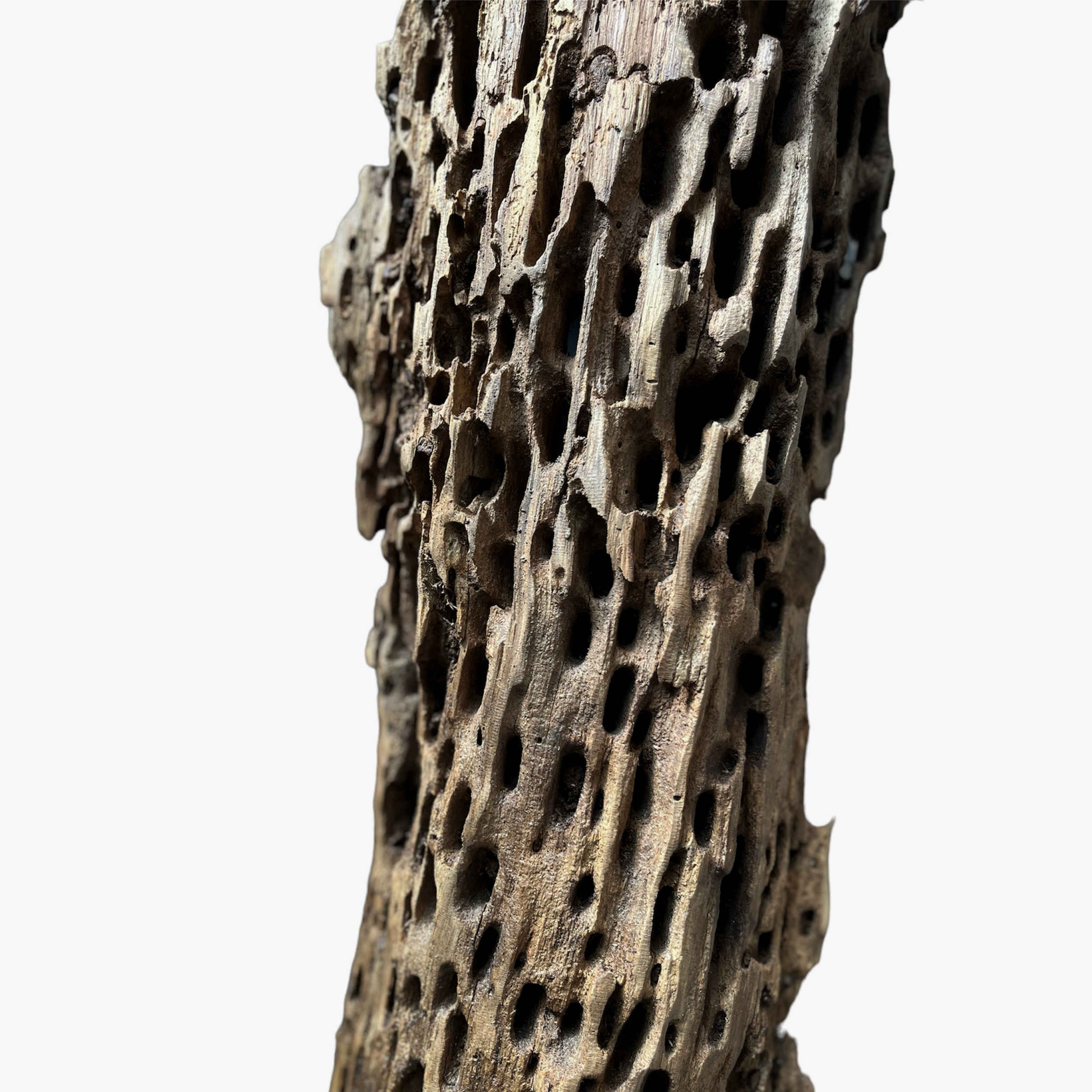 Price and Buy Rustic Wooden Log Table Lamp – Natural Wood Accent for Home Décor - Image 3