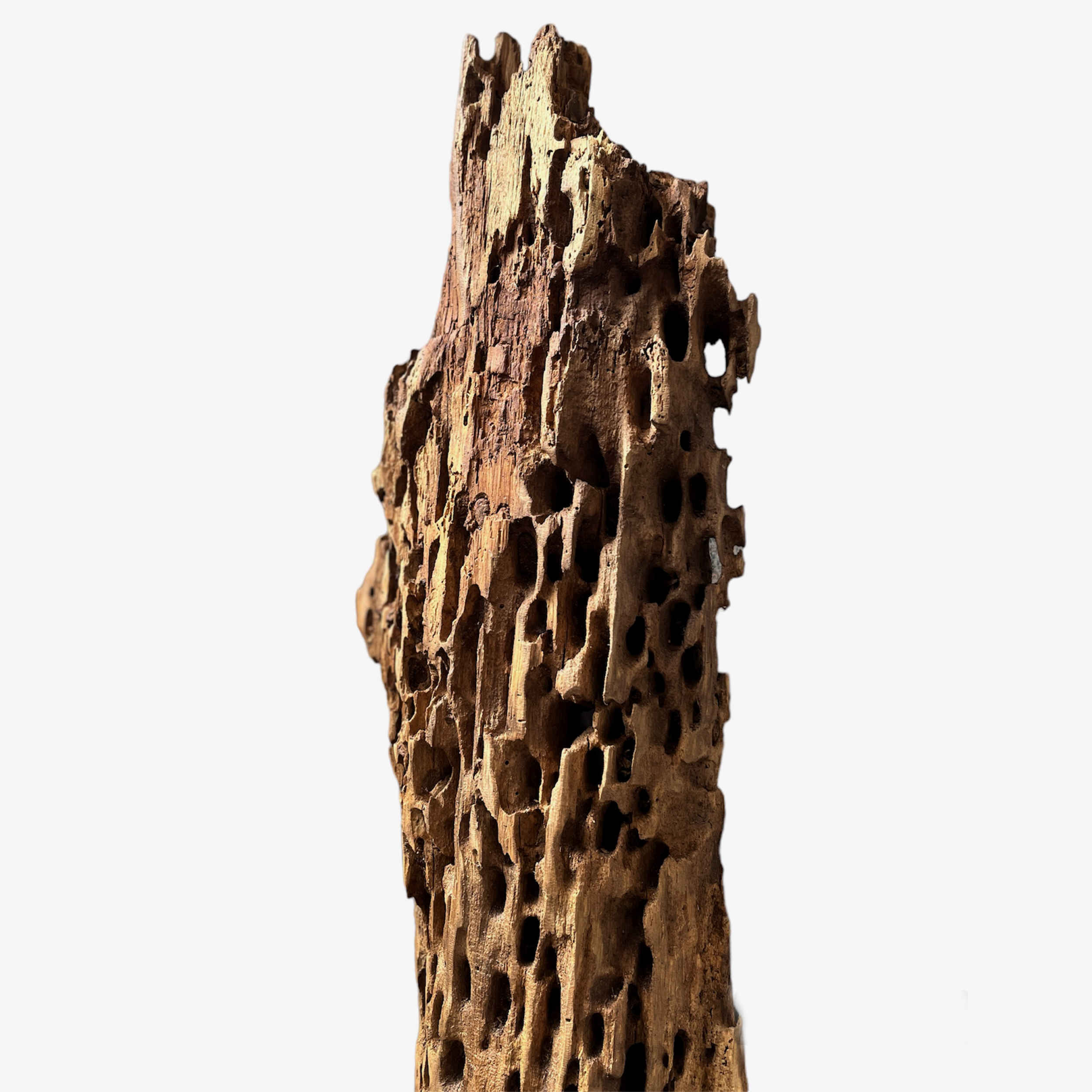 Price and Buy Rustic Wooden Log Table Lamp – Natural Wood Accent for Home Décor - Image 7