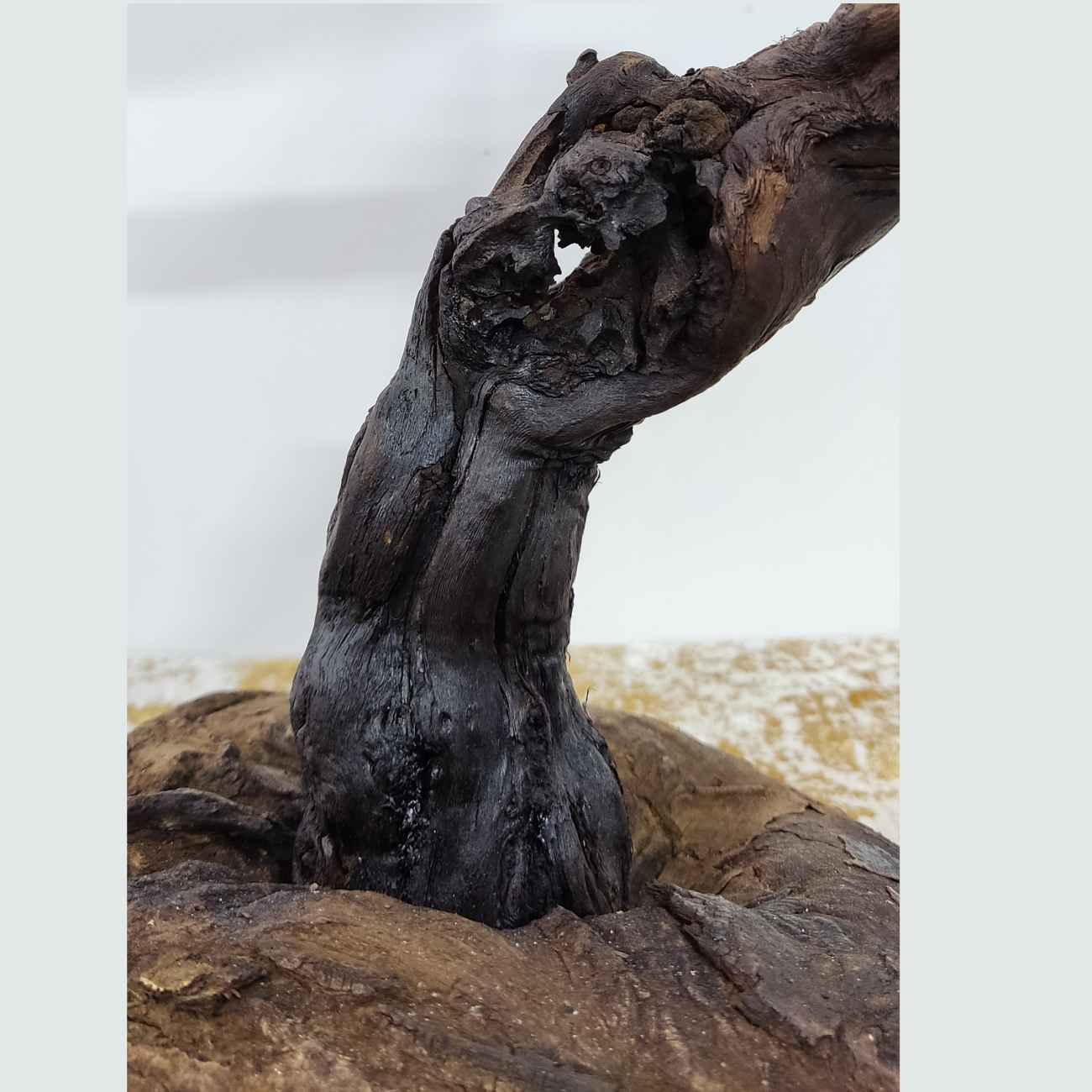 Price and Buy Rustic Wooden Log Table Lamp with Hemp Shade Nature-Inspired Lighting - Image 5