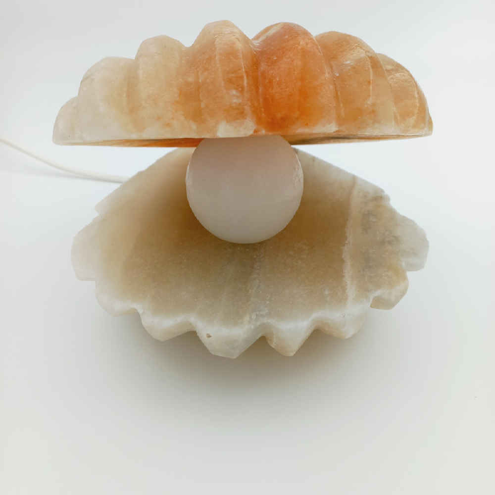 Price and Buy Salt Lamp – Handcrafted Shell & Pearl Design - Image 3