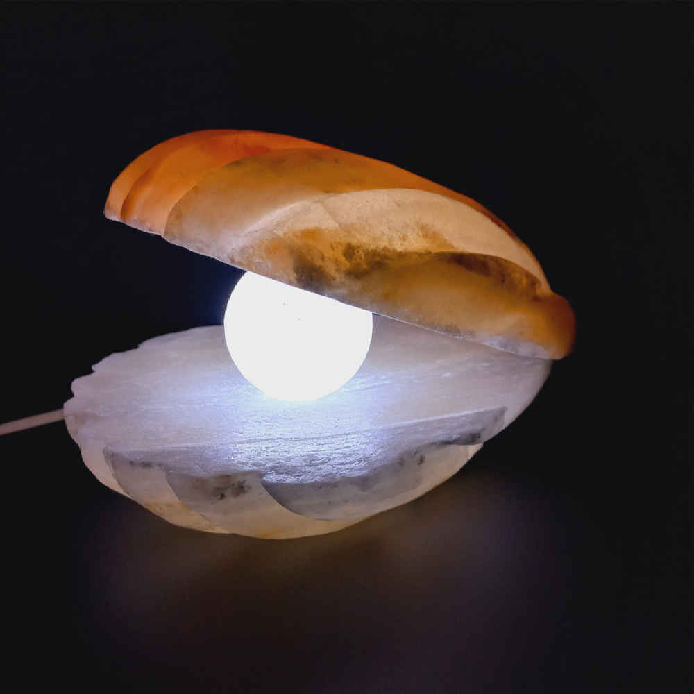 Price and Buy Salt Lamp – Handcrafted Shell & Pearl Design - Image 4