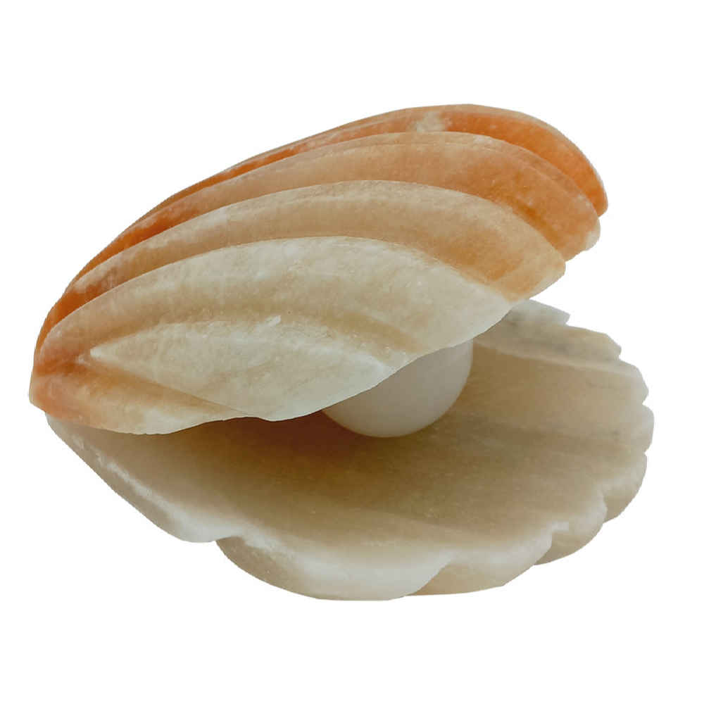 Price and Buy Salt Lamp – Handcrafted Shell & Pearl Design - Image 5