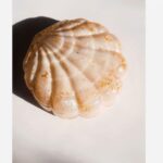 Price and Buy Seashell-Shaped Resin Jewelry Holder for Rings, Earrings, and Small Accessories - Image 3