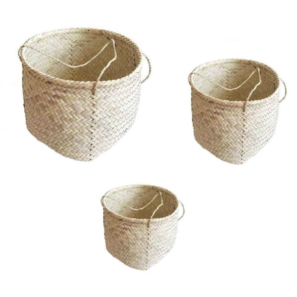 Price and Buy Set of 3 Persian Handwoven Palm Leaf Storage Baskets_68ff70232d33f.jpeg Price and Buy Set of 3 Persian Handwoven Palm Leaf Storage Baskets