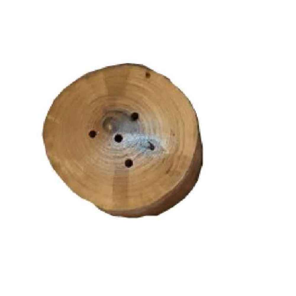 Price and Buy Set of Wooden Salt & Pepper Shakers Adelia - Image 3