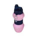Price and Buy Silicone Water Bottle – Flexible, Safe for Kids, School & Camping with Strawberry Design - Image 4