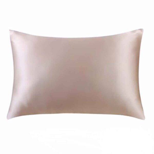 Price and Buy Silk Pillowcase – Standard Sized Model Melowlay (x3)_68fc769ad6755.jpeg Price and Buy Silk Pillowcase – Standard Sized Model Melowlay (x3)