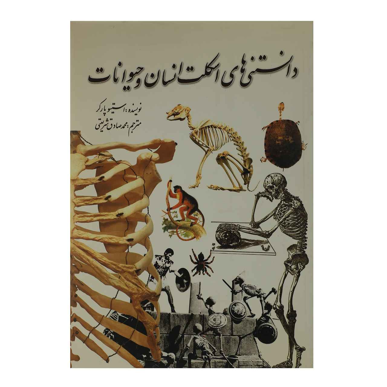 Price and Buy Skeleton Book by Steve Parker (Farsi Edition)_68fc7e618aba6.jpeg Price and Buy Skeleton Book by Steve Parker (Farsi Edition) - Image 1