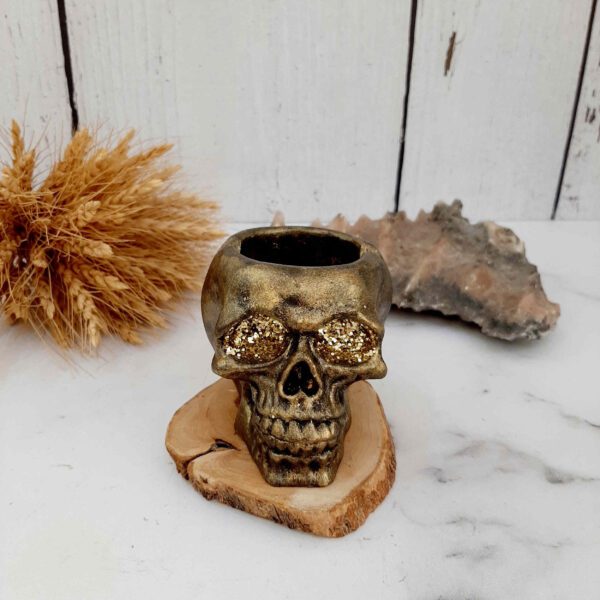 Price and Buy Skull Ashtray for Smokers – Unique Novelty Resin Ashtray for Home Décor, Bar, or Gift