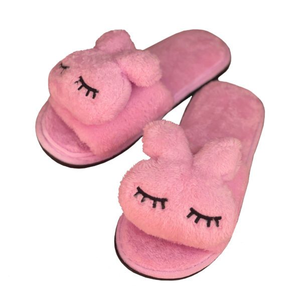 Price and Buy Soft Women’s Plush Slippers Model Roby_68fd4812563a7.jpeg Price and Buy Soft Women’s Plush Slippers Model Roby