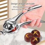 Price and Buy Stainless Steel Lever Nutcracker – Steel Handle & Body, Ergonomic, for Walnuts & Chestnuts, Floral Design - Image 6