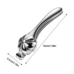 Price and Buy Stainless Steel Lever Nutcracker – Steel Handle & Body, Ergonomic, for Walnuts & Chestnuts, Floral Design - Image 7