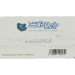 Price and Buy Sugar-Free Mini Stick Chewing Gum with Eucalyptus Flavor by Biodent (12 pcs) - Image 4