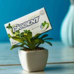 Price and Buy Sugar-Free Mini Stick Chewing Gum with Mojito Flavor by Biodent (12 Pcs) - Image 3