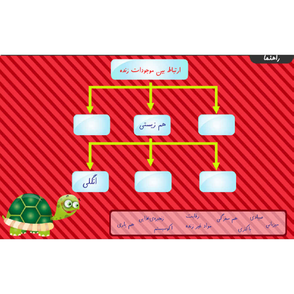 Price and Buy Taty World; Complete Sixth Grade Lessons - Image 3