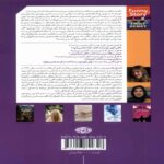 Price and Buy The Interesting Tale of Daphne Book by Emily Henry (Farsi) - Image 3