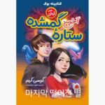 Price and Buy The Last Fallen Star Book by Graci Kim