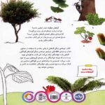 Price and Buy The Life Cycle of Plants by Takim Yildiz (Farsi) - Image 3