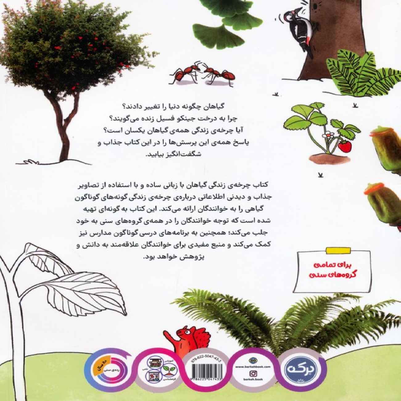 Price and Buy The Life Cycle of Plants by Takim Yildiz (Farsi)_69033a4987a50.jpeg Price and Buy The Life Cycle of Plants by Takim Yildiz (Farsi) - Image 3