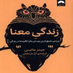 Price and Buy The Meaningful Life Book by James Hollis (Farsi)