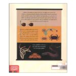 Price and Buy The World of Nature and Endless Curiosity Book by Amanda Wood & Mike Jolly (Farsi) - Image 3